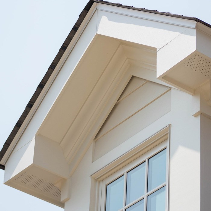 Boral TruExterior exterior siding and trim - SWP